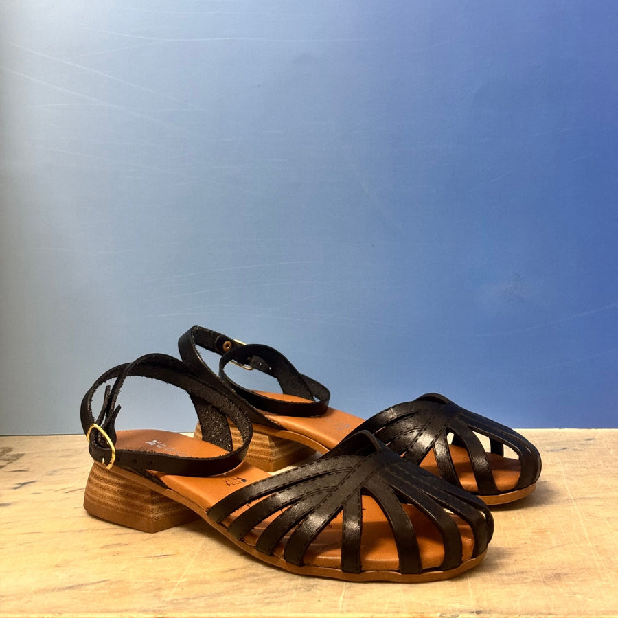 221 Moda Capri