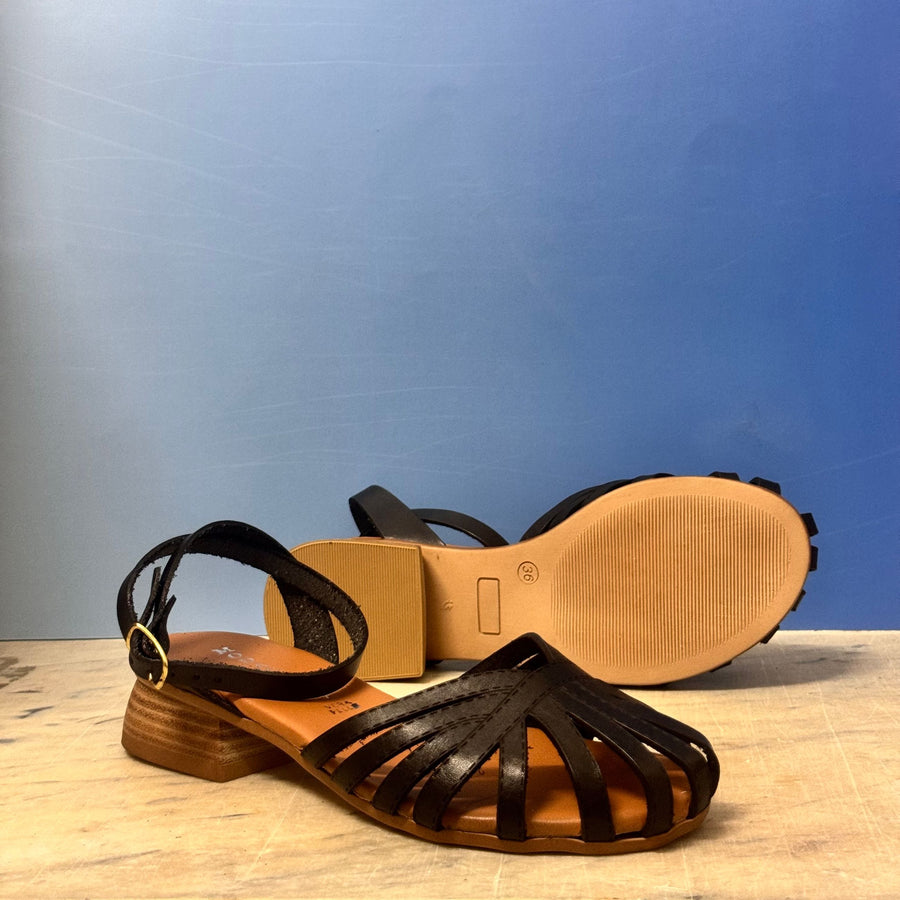 221 Moda Capri