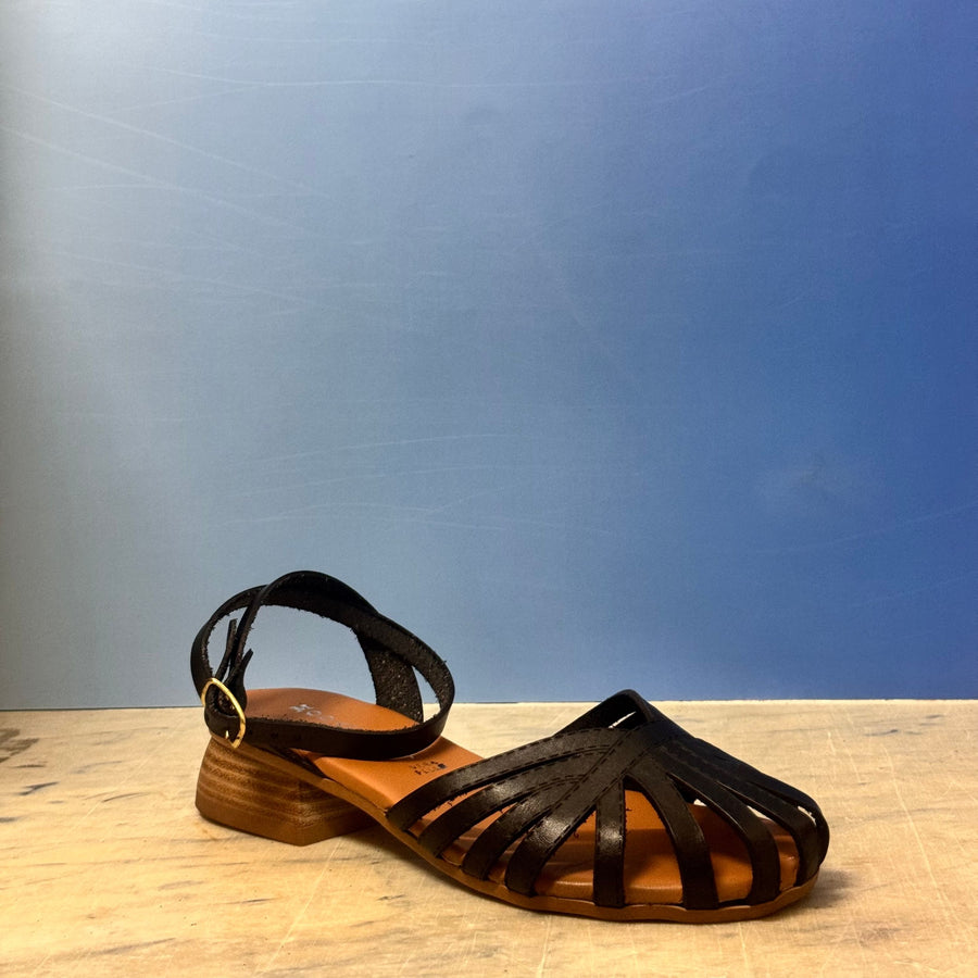 221 Moda Capri